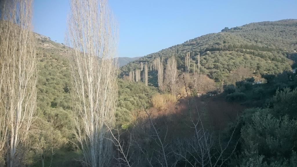 Sirince Klaseas Hotel&Restaurant Selçuk Luaran gambar