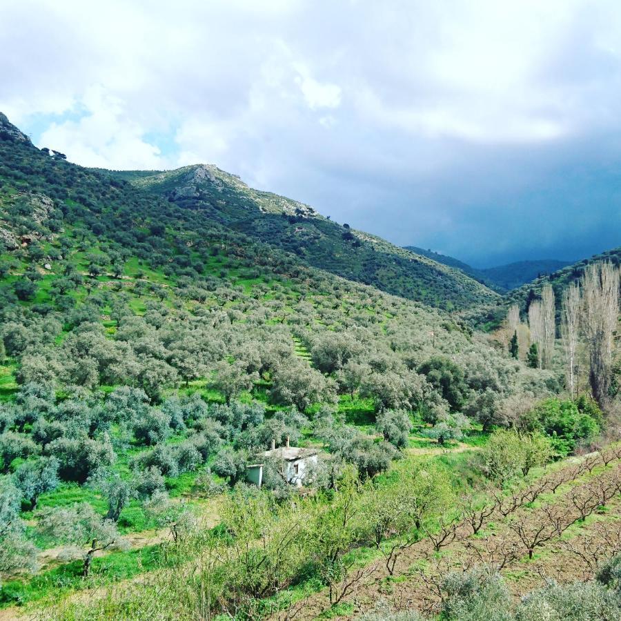 Sirince Klaseas Hotel&Restaurant Selçuk Luaran gambar